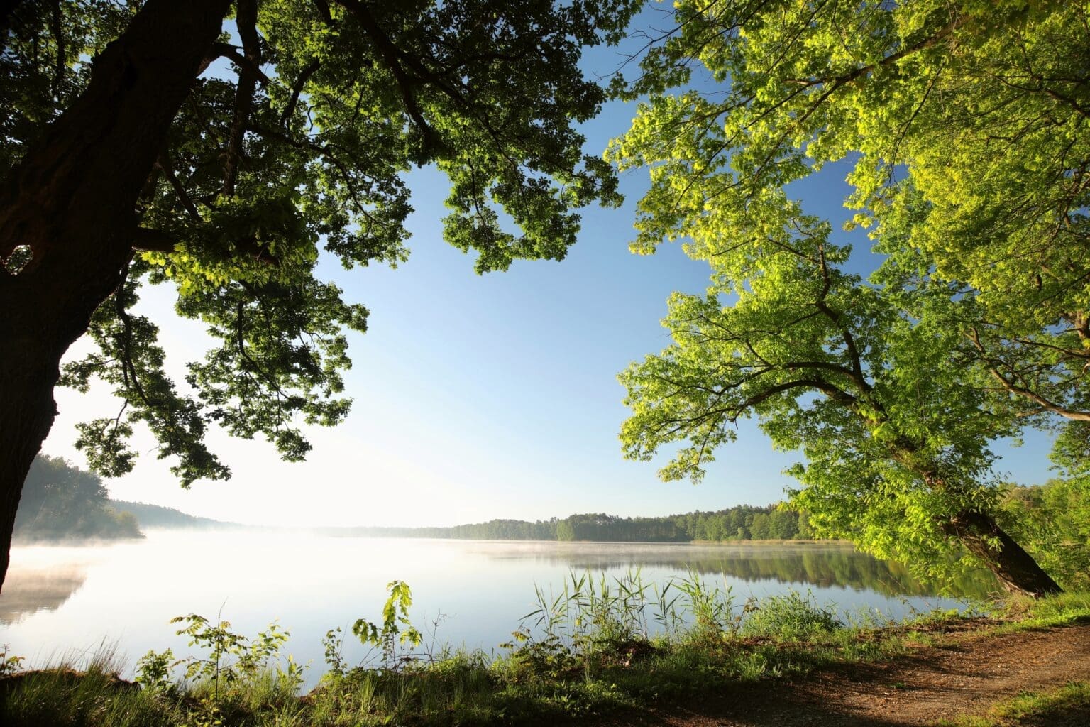 Vous êtes invité à l&rsquo;événement la ruée du printemps de VR Timmins !
