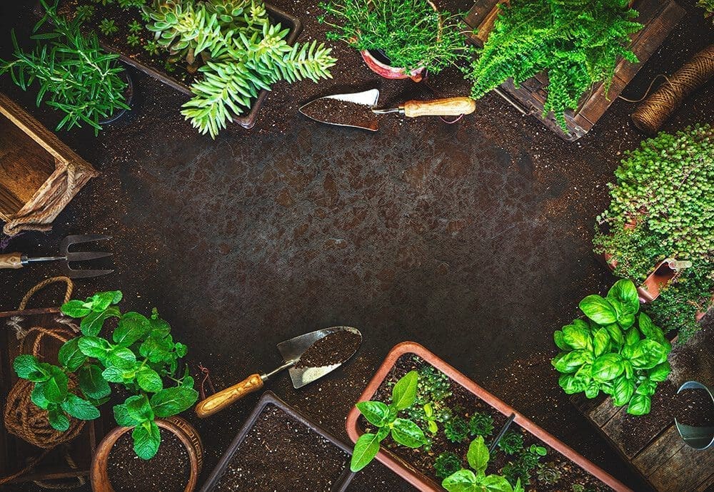 Idées de jardinage pour la vie en VR