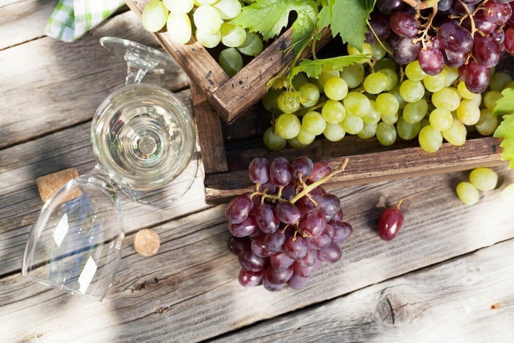 Prenez la route canadienne des vins en VR